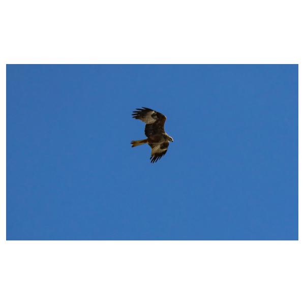 PHOTO84, CLUB, 84 , LUBERON